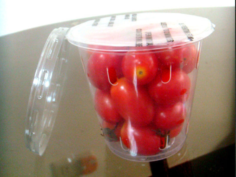 K.Yih Chern Corp.CO.,LTD.:: FOOD PACKAGING-Fruit cup