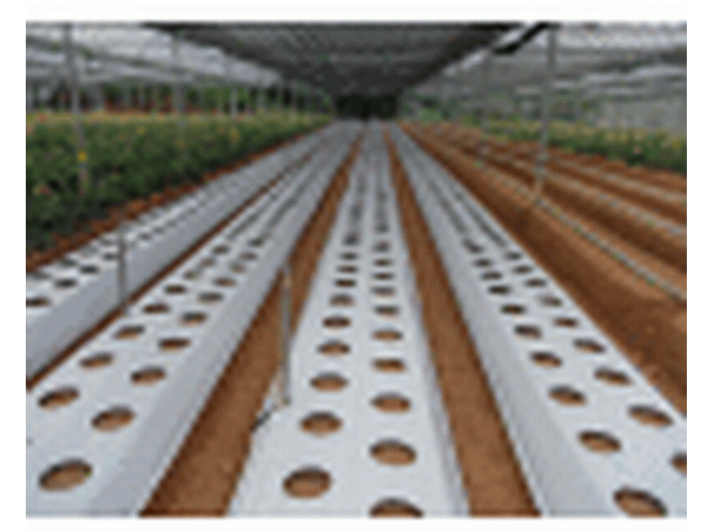 K.Yih Chern Corp.CO.,LTD.:: AGRICULTURAL APPLIED PRODUCTS-PE/PLA Mulch Film