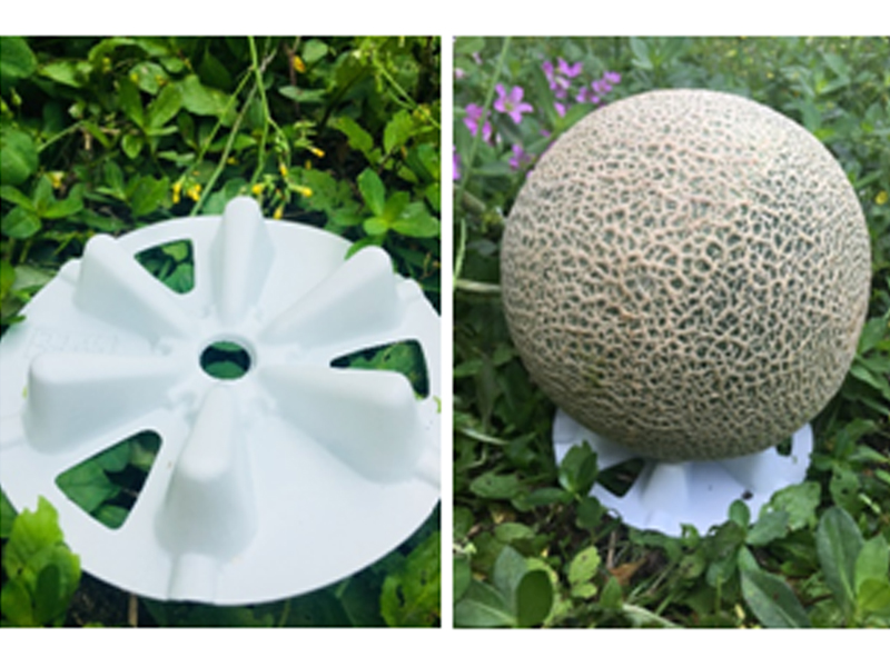 K.Yih Chern Corp.CO.,LTD.:: AGRICULTURAL APPLIED PRODUCTS-Melon and Squash Support, Protective Pad, avoid rotting